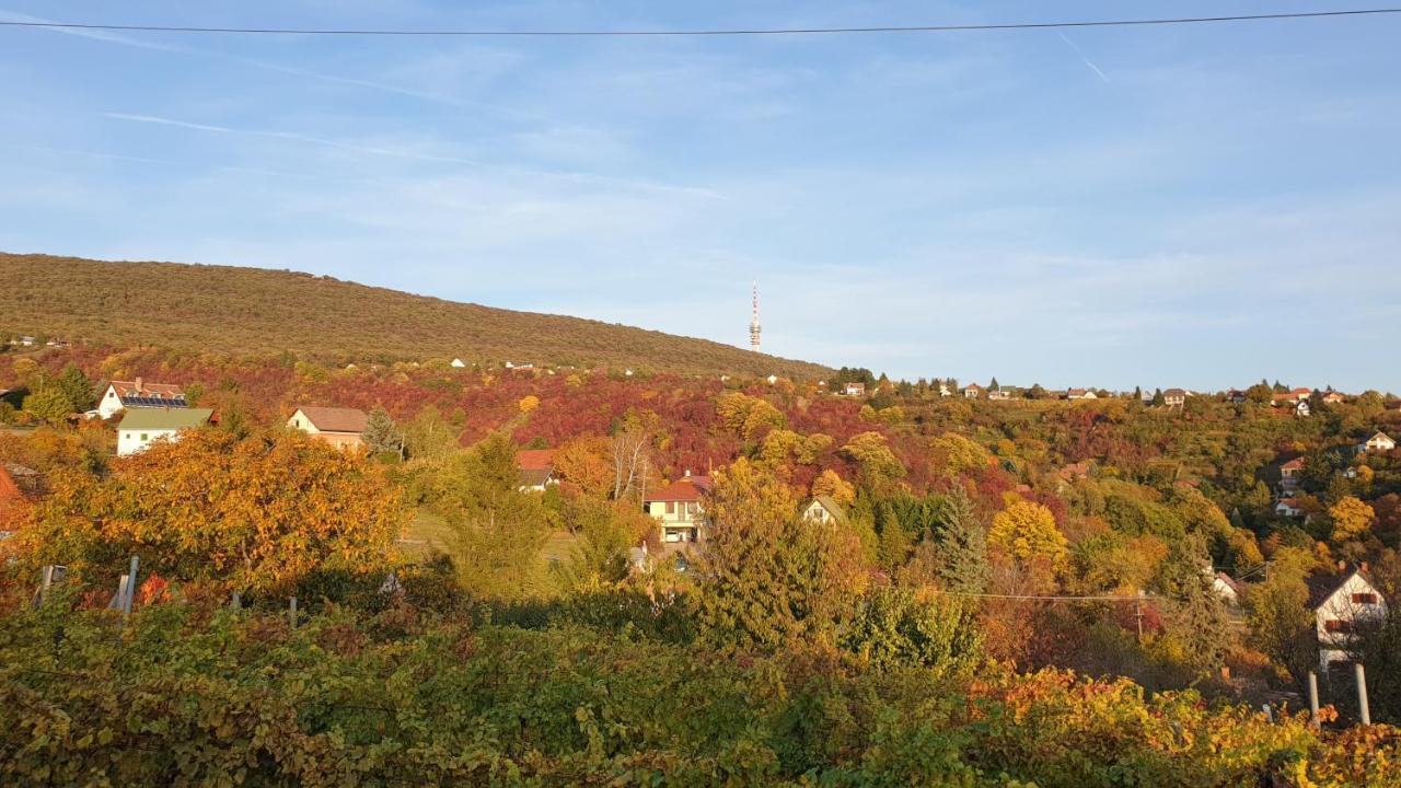 Hillside Cottage Beci Exterior foto