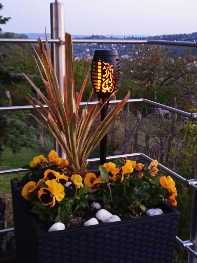 Hillside Cottage Beci Exterior foto